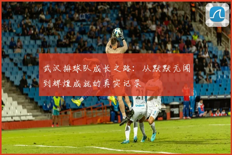 武汉排球队成长之路：从默默无闻到辉煌成就的真实记录