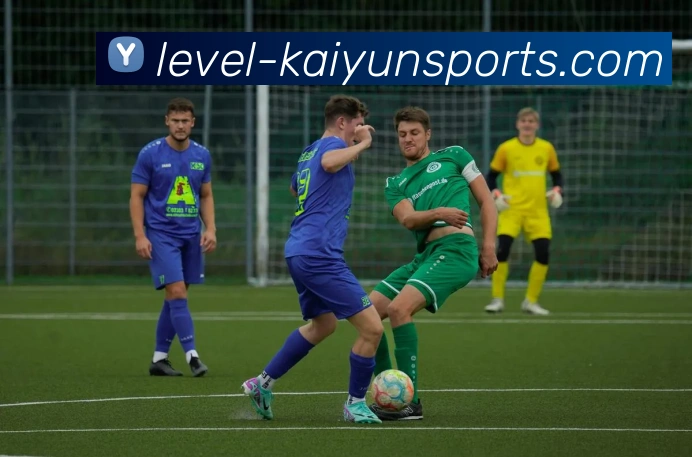 开云门户平台生态图