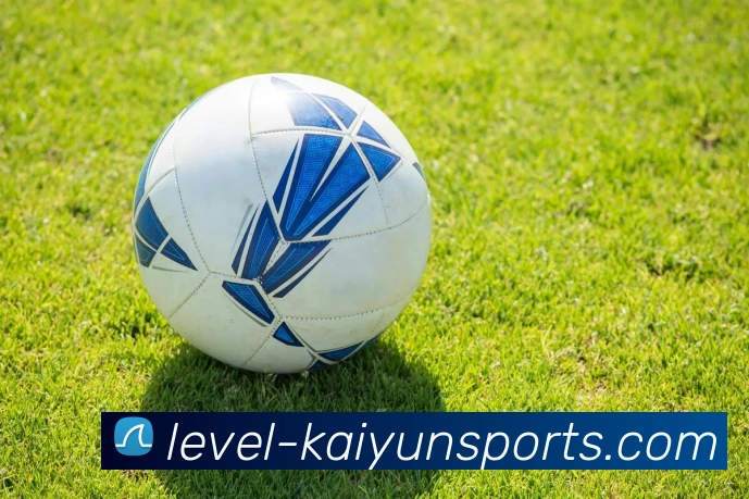 开云门户全站App